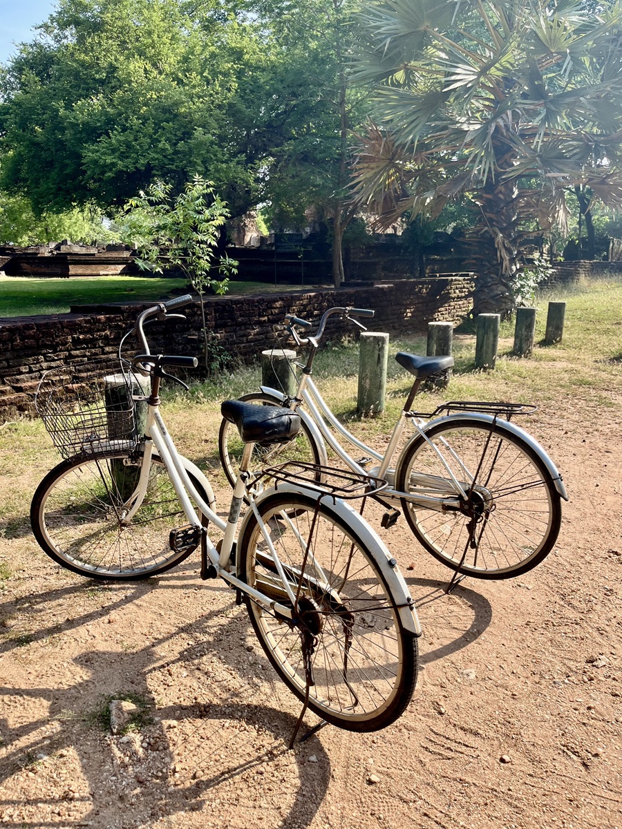 Rented Bikes during our cycling around Polonnaruwa